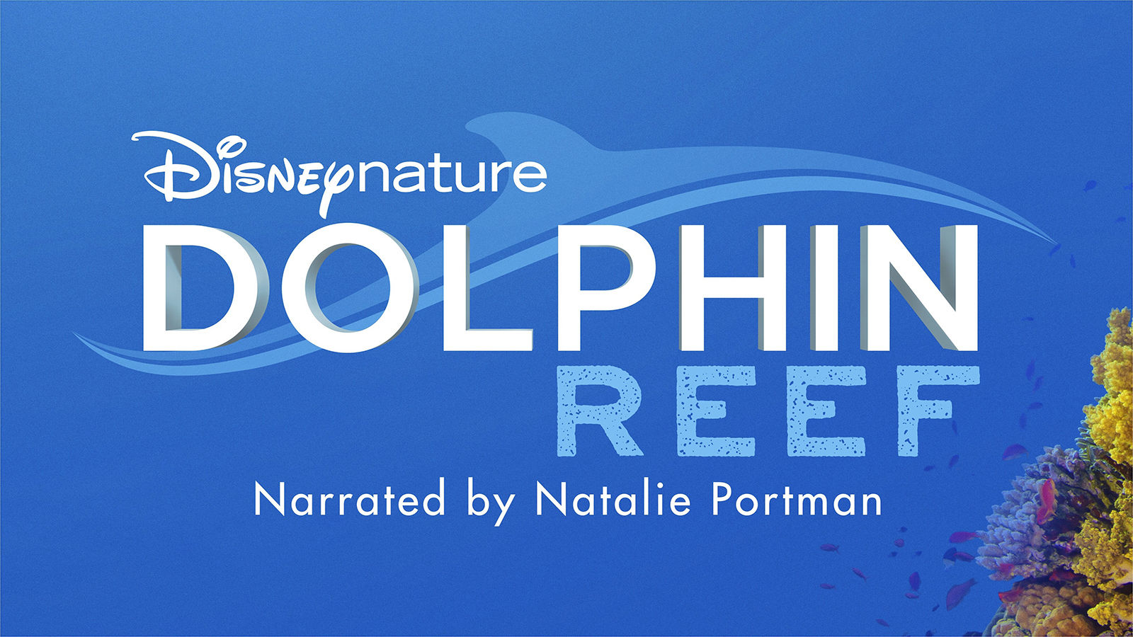 “Dolphin Reef”